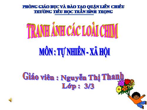 TRANH ẢNH CÁC LOÀI CHIM MÔN TNXH