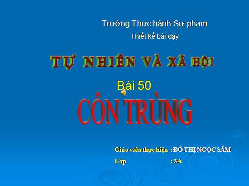 Bài 50. Côn trùng