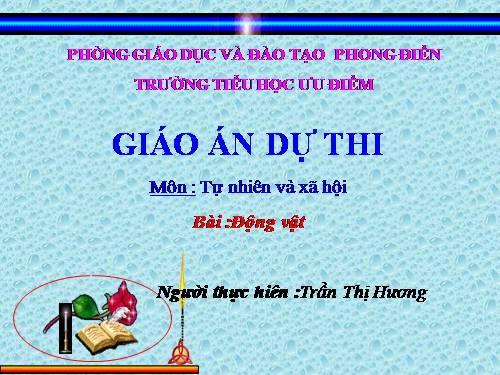 Bài 49. Động vật