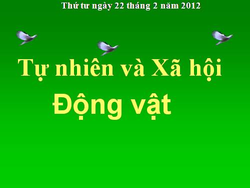 Bài 49. Động vật