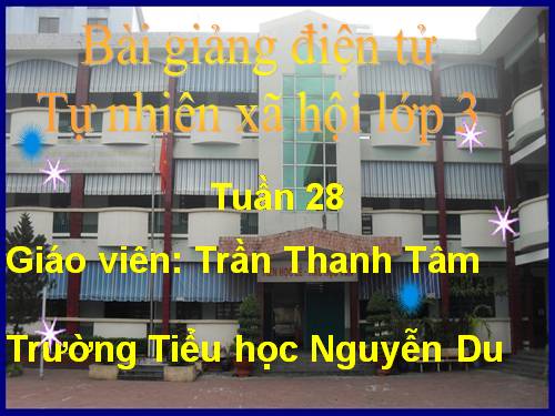 Bài 55. Thú (tiếp theo)