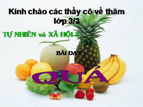 Bài 48. Quả