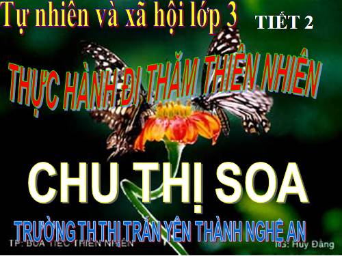 Bài 56 - 57. Thực hành: Đi thăm thiên nhiên