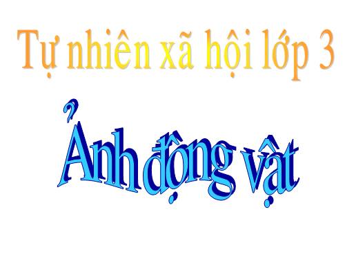 Ảnh đông vật --TNXH lớp 3