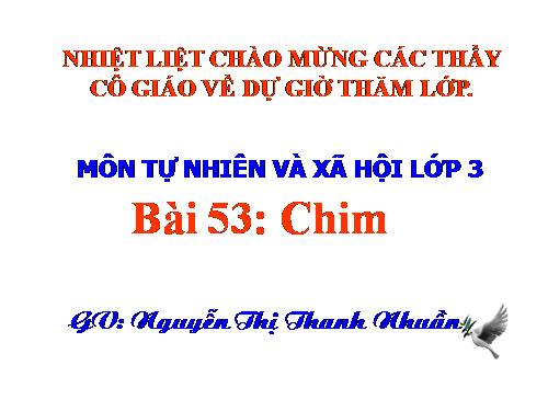 Bài 53. Chim