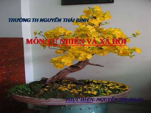 Bài 15. Vệ sinh thần kinh