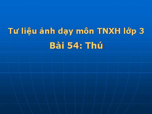 Tư liệu  ảnh dạy  Bài 54: Thú