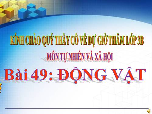 Bài 49. Động vật