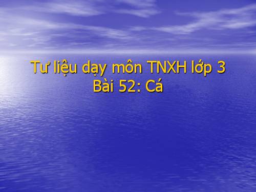 Tư liệu  ảnh dạy  Bài 52:  Cá