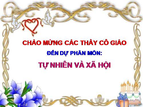 Bài 12. Cơ quan thần kinh