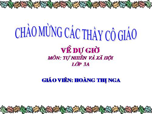 Bài 46. Khả năng kì diệu của lá cây