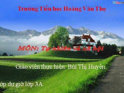 Bài 42. Thân cây (tiếp theo)