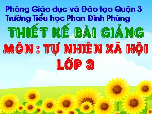 Bài 46. Khả năng kì diệu của lá cây