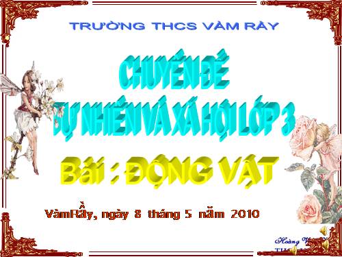 Bài 49. Động vật