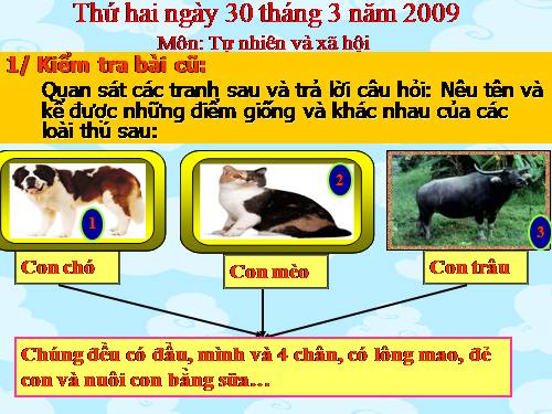 Bài 55. Thú (tiếp theo)