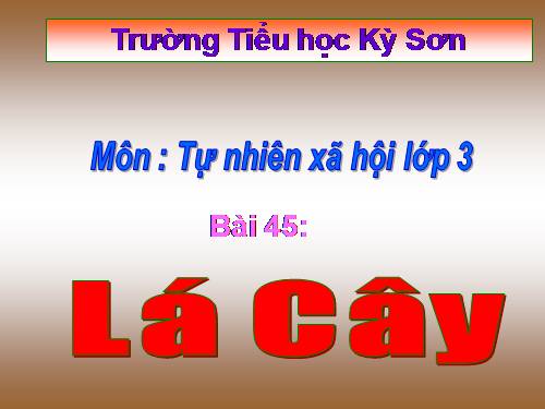 Bài 45. Lá cây