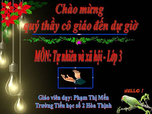 Bài 42. Thân cây (tiếp theo)