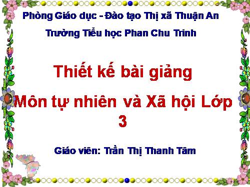 Bài 29. Các hoạt động thông tin liên lạc