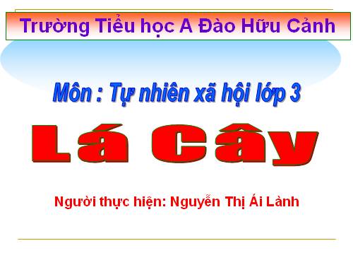 Bài 45. Lá cây