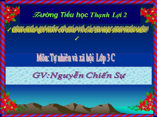 Bài 24. Một số hoạt động ở trường