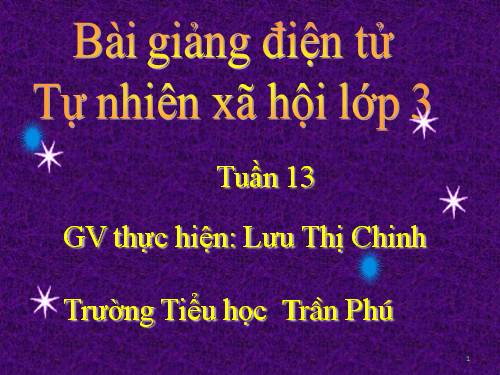 Bài 26. Không chơi các trò chơi nguy hiểm