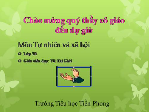 Bài 42. Thân cây (tiếp theo)