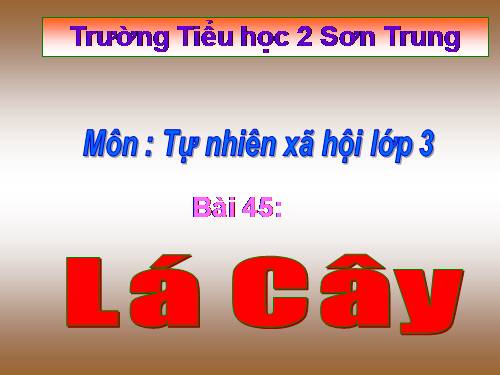 Bài 45. Lá cây