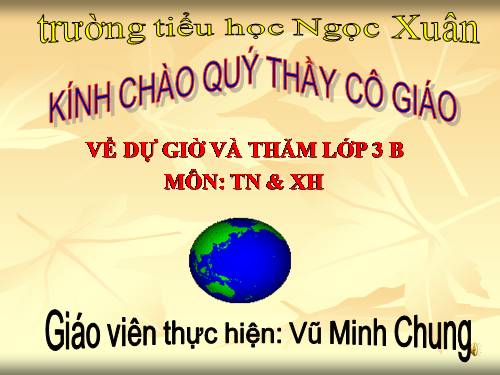 Bài 48. Quả