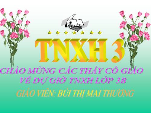 Bài 44. Rễ cây (tiếp theo)