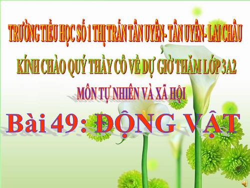 Bài 49. Động vật