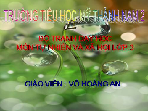 Tranh TNXH