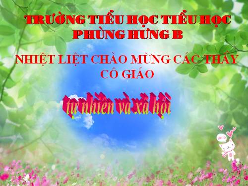 Bài 38. Vệ sinh môi trường (tiếp theo)