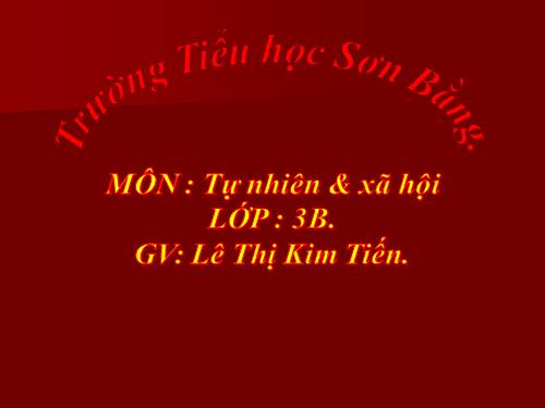 Bài 15. Vệ sinh thần kinh