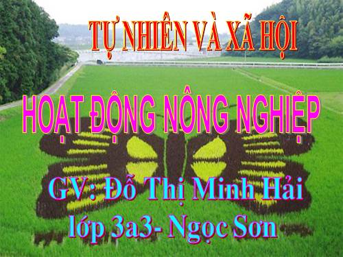 Bài 30. Hoạt động nông nghiệp