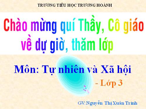 Bài 25. Một số hoạt động ở trường (tiếp theo)