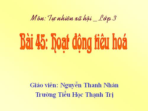 Hoạt động tiêu hóa