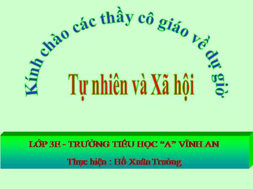 Bài 61. Trái Đất là một hành tinh trong hệ Mặt Trời