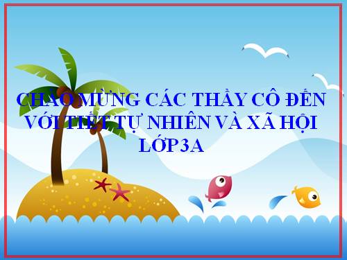 Bài 19. Các thế hệ trong một gia đình