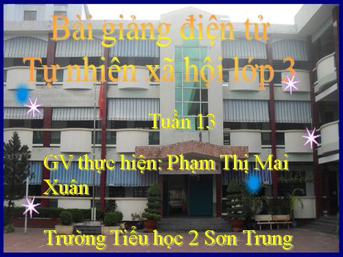 Bài 26. Không chơi các trò chơi nguy hiểm