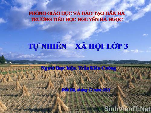 Bài 32. Làng quê và đô thị