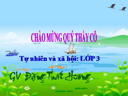 Bài 31. Hoạt động công nghiệp, thương mại