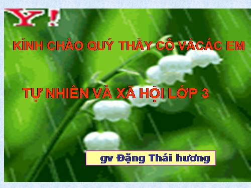 Bài 32. Làng quê và đô thị