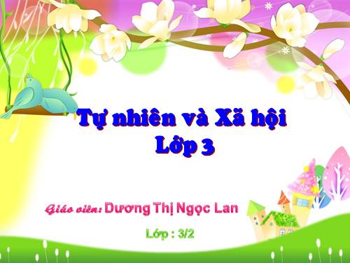 Bài 30. Hoạt động nông nghiệp