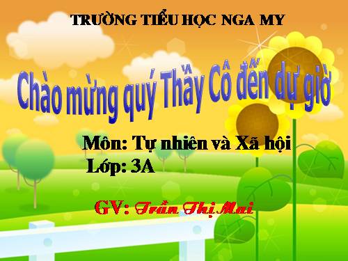 Bài 15. Vệ sinh thần kinh