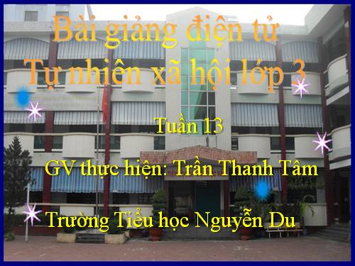 Bài 26. Không chơi các trò chơi nguy hiểm