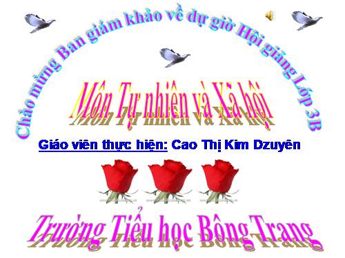 Bài 26. Không chơi các trò chơi nguy hiểm