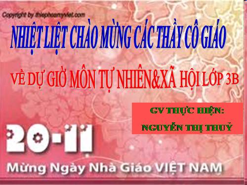 Bài 24. Một số hoạt động ở trường