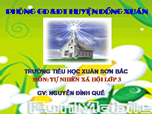 Bài 26. Không chơi các trò chơi nguy hiểm