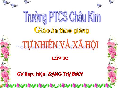 Bài 24. Một số hoạt động ở trường