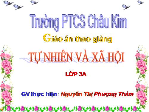 Bài 24. Một số hoạt động ở trường